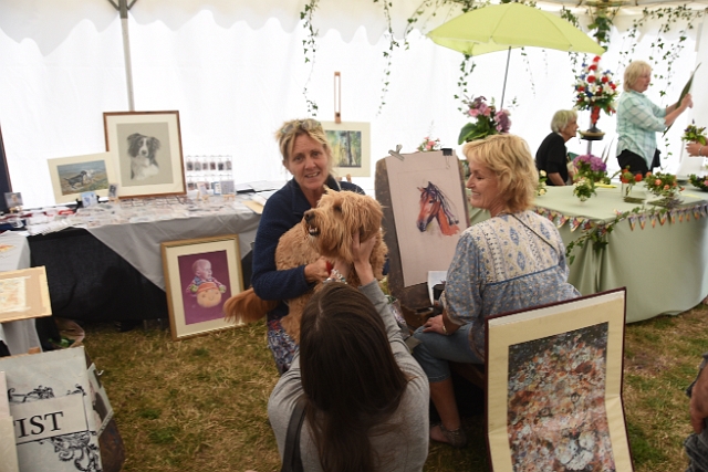 31 07 16_9275.JPG - ARTS FESTIVAL CHRISTCHURCH, EAST DORSET - 31.7.16